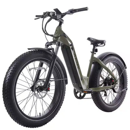 GOTRAX Bici Ibrida Elettrica 26" con Pneumatici Fat, Telaio a Scavalco, per Adulti - Verde