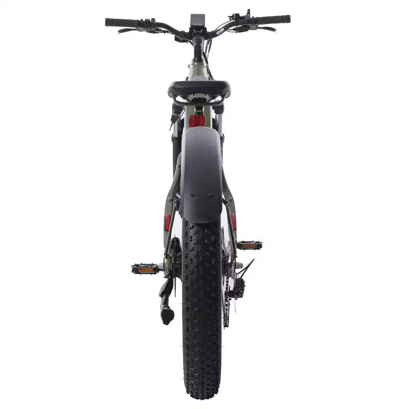 GOTRAX Bici Ibrida Elettrica 26" con Pneumatici Fat, Telaio a Scavalco, per Adulti - Verde